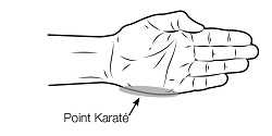 Point Karaté